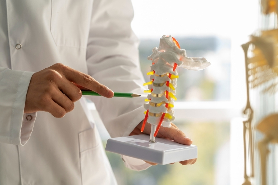 Inflammatory & Demyelinating Spine Disorders-img